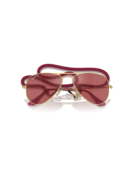 0RJ9506S__223_B5__P21__shad__cfr