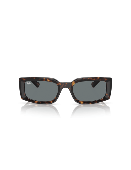 0RB4395__135971__P21__shad__fr