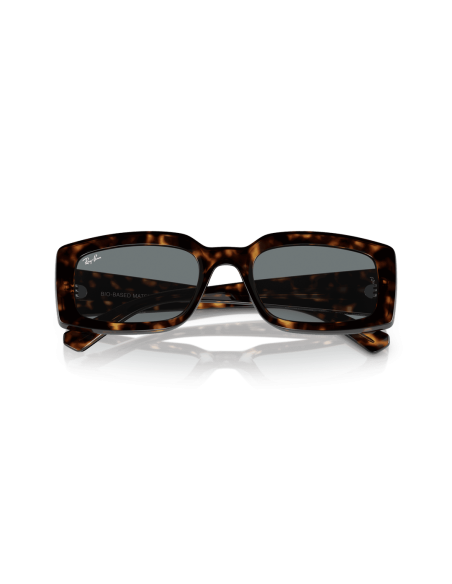 0RB4395__135971__P21__shad__cfr