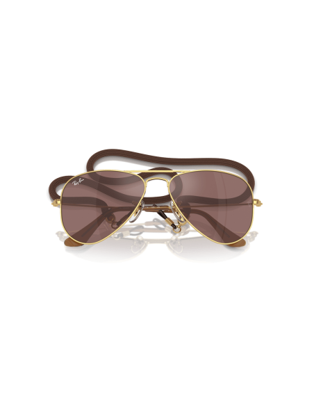 0RJ9506S__223_6G__P21__shad__cfr