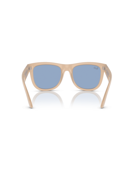 0RBR0502S__678072__P21__shad__bk