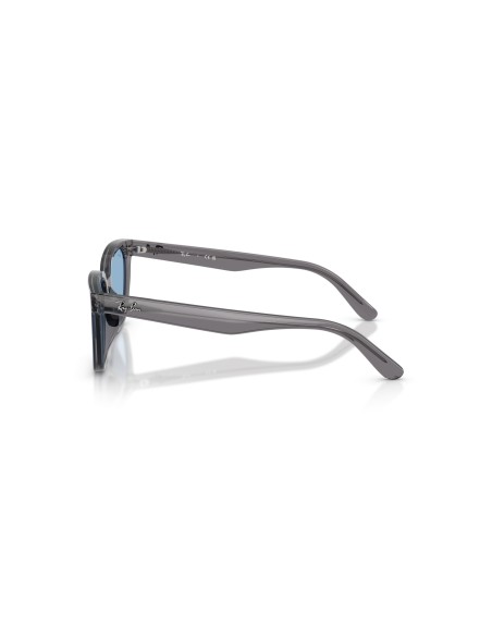 RAY-BAN - RB2243D - 139972 - 55