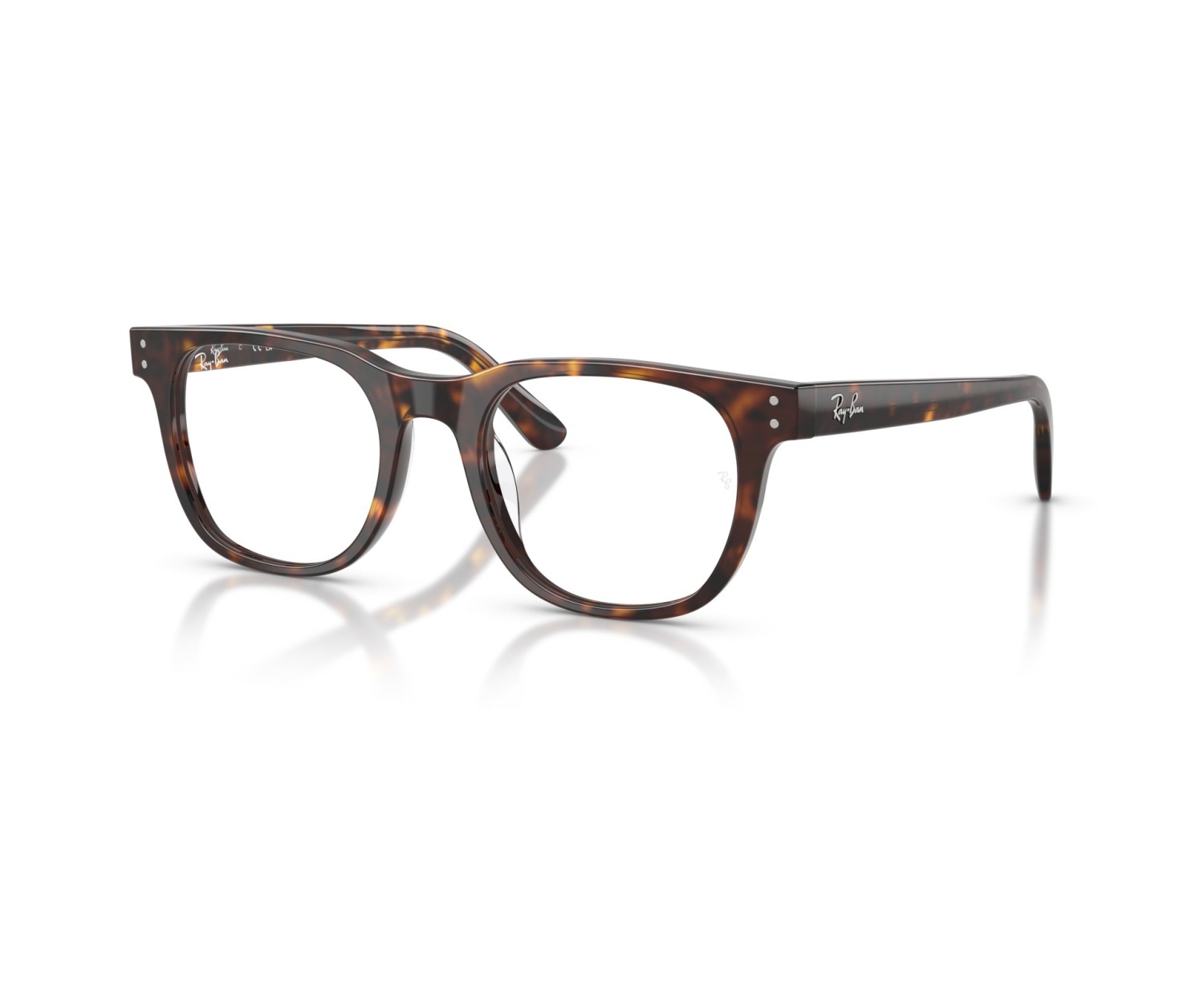 RAY-BAN VISTA - RX5461D - 2012 - 51
