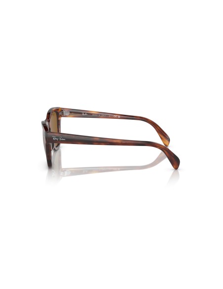 RAY-BAN - RB0707S - 954/33 - 53