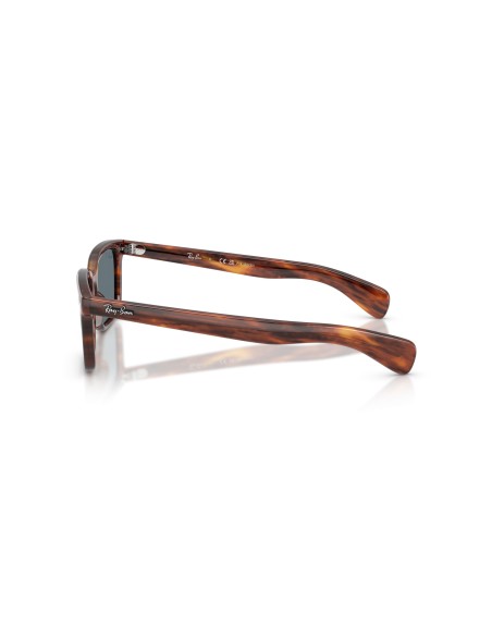 RAY-BAN - BRUNEL - RB2234 - 954/3R - 56