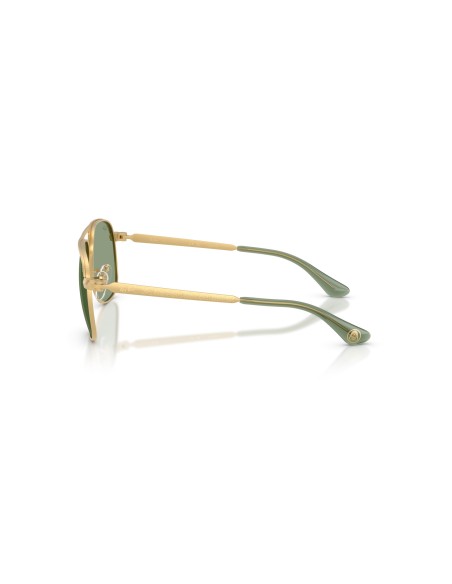 RAY-BAN - BILL MAX - RB3793 - 929052 - 59