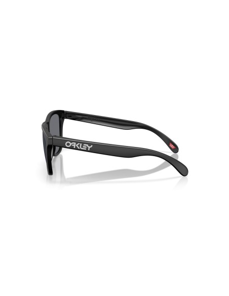 OAKLEY - FROGSKINS - OO9013 - 9013M7 - 55