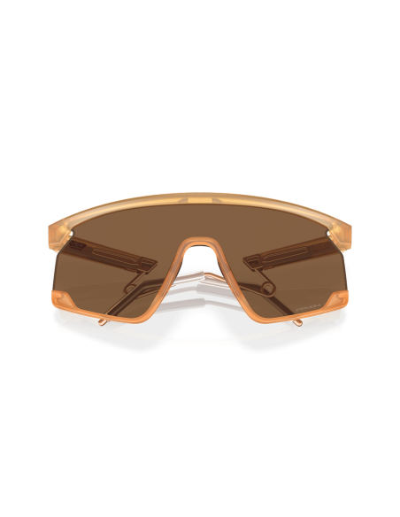 0OO9237__923706__P21__shad__cfr