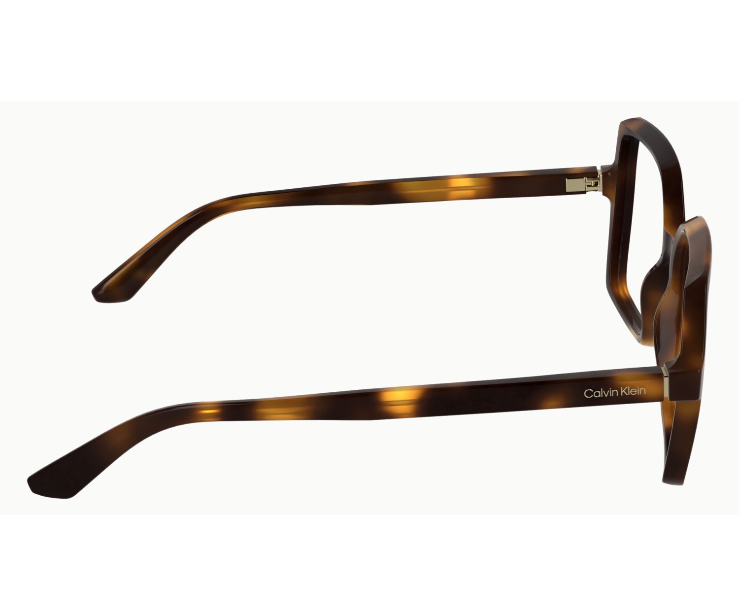 Calvin Klein - CK25547 - 240 - 54