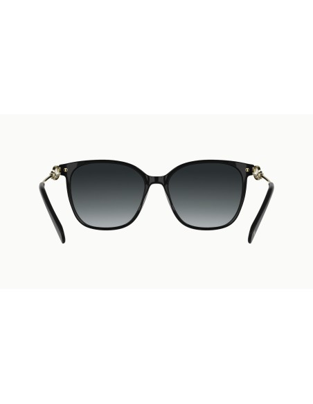Longchamp - LO805S - 001 - 55