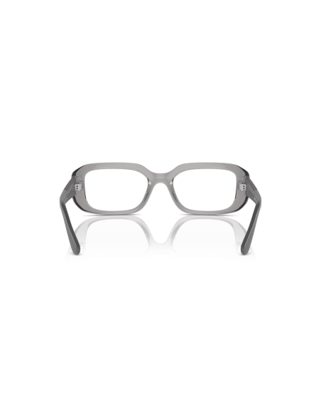 0VO5568__2726__P21__shad__bk