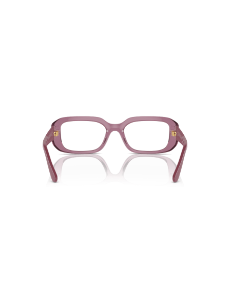 0VO5568__2761__P21__shad__bk