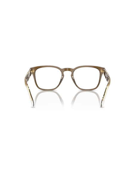 0VO5570__3144__P21__shad__bk