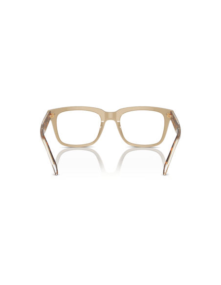 0VO5572__W900__P21__shad__bk