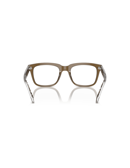 0VO5572__3144__P21__shad__bk