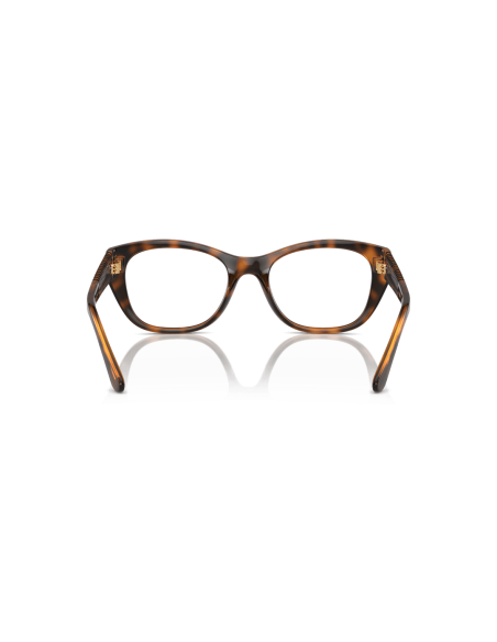 0VO5569__W656__P21__shad__bk