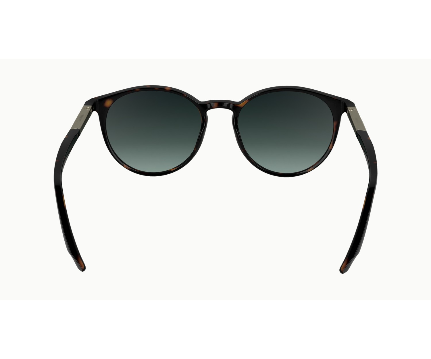 Calvin Klein - CK24539S - 235 - 53