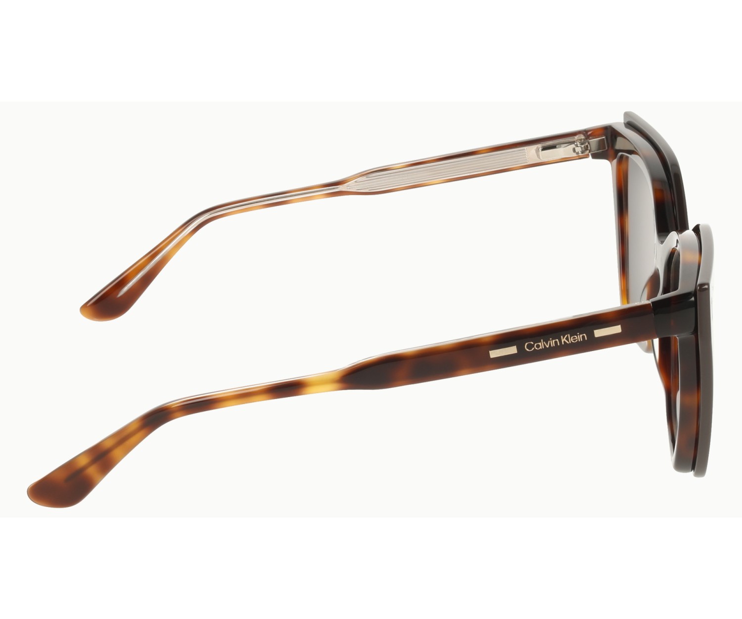 Calvin Klein - CK24550 - 242 - 55