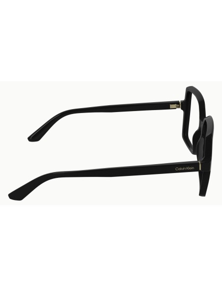 Calvin Klein - CK25547 - 001 - 54