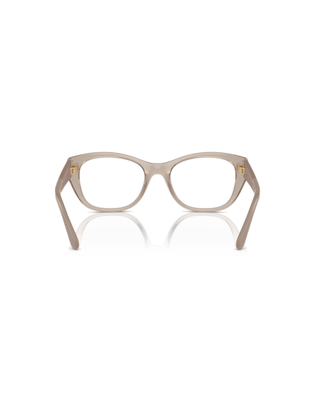 0VO5569__2990__P21__shad__bk