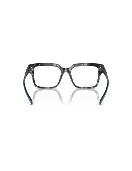 0VO5559__3147__P21__shad__bk