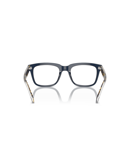 0VO5572__3143__P21__shad__bk