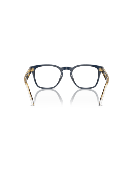 0VO5570__3143__P21__shad__bk