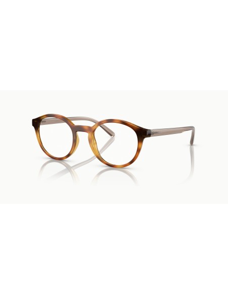 ARNETTE - ALLYE - AN7242 - 2770 - 48