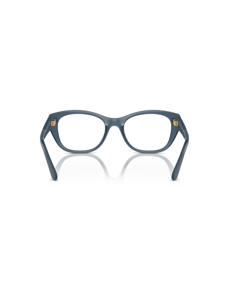 0VO5569__2764__P21__shad__bk