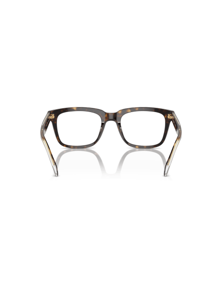 0VO5572__W656__P21__shad__bk