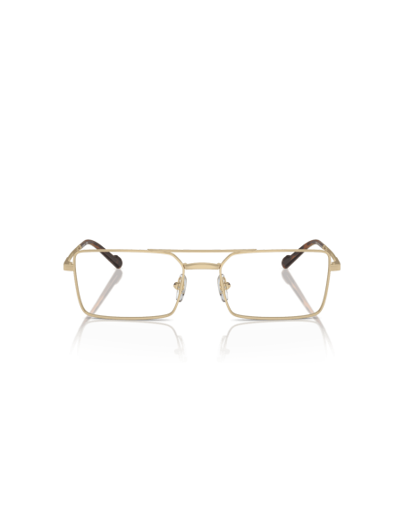 0VO4310__848__P21__shad__fr