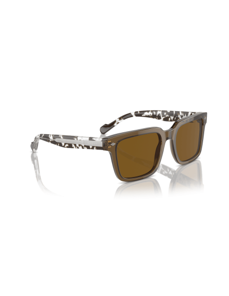 0VO5573S__314483__P21__shad__al2