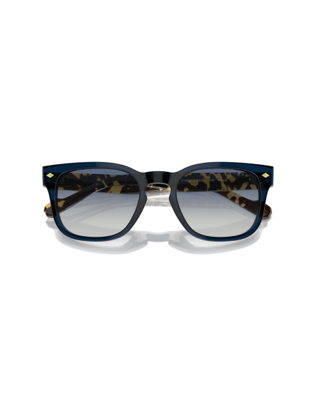 0VO5571S__31434L__P21__shad__cfr