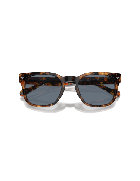 0VO5571S__28194Y__P21__shad__cfr