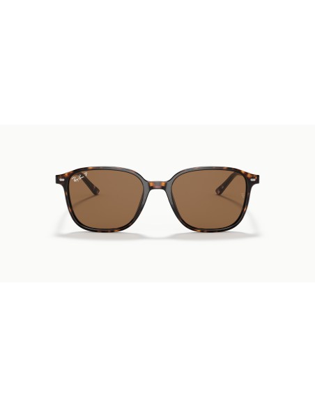RAY-BAN - LEONARD - RB2193 - 902/57 - 55