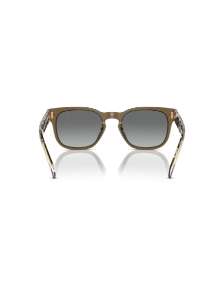 0VO5571S__314411__P21__shad__bk