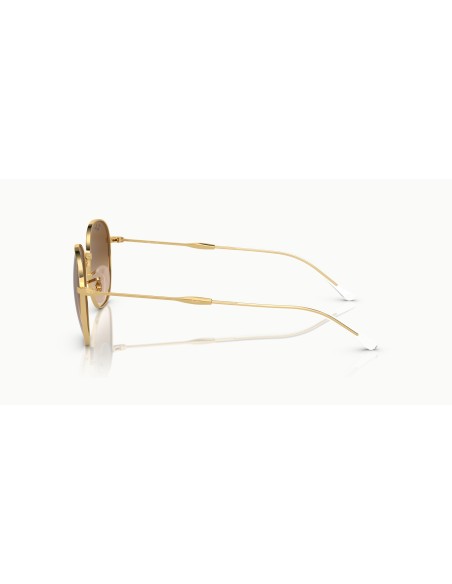 RAY-BAN - RB3809 - 001/51 - 53