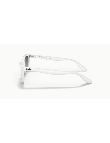 RAY-BAN - LADY BURBANK - RB2299 - 975/BH - 52