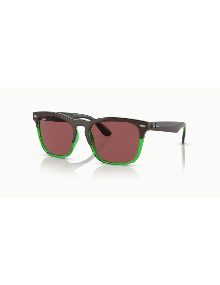 RAY-BAN - STEVE - RB4487 - 663469 - 54