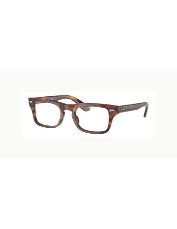 RAY-BAN JUNIOR VISTA - JUNIOR BURBANK - RY9083V - 3888 - 41