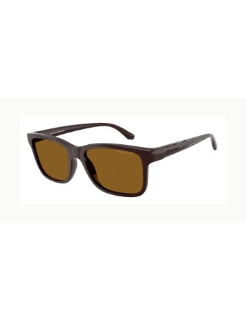 ARNETTE - AN4378 - 302783 - 56