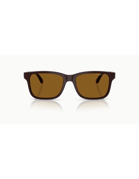 ARNETTE - AN4378 - 302783 - 56