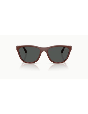 ARNETTE - AN4379 - 304887 - 55 2