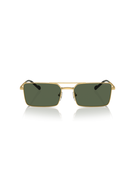 0VO4309S__280_9A__P21__shad__fr