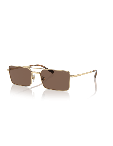 0VO4309S__848_73__P21__shad__qt