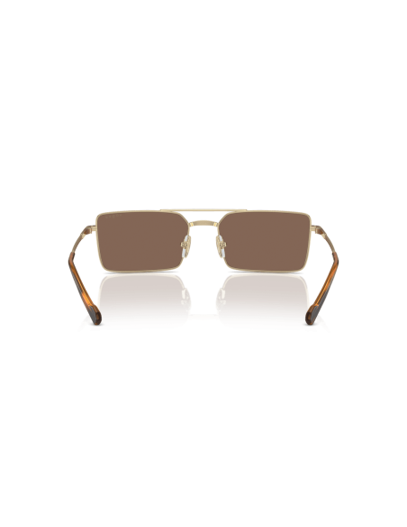 0VO4309S__848_73__P21__shad__bk