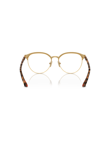 0VO4305__5198__P21__shad__bk