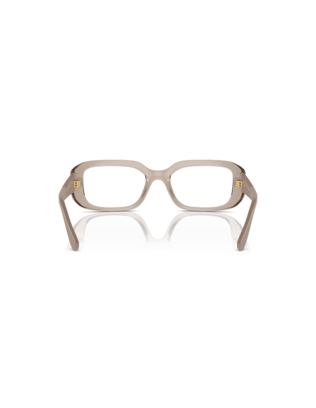 0VO5568__2990__P21__shad__bk