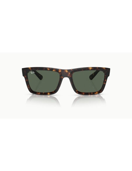 RAY-BAN - WARREN - RB4396 - 135971 - 54