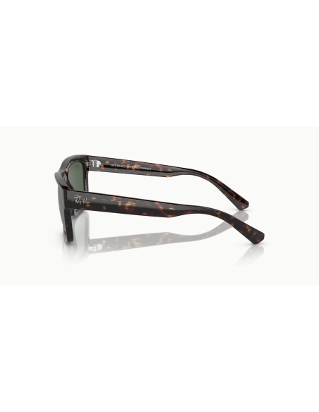 RAY-BAN - WARREN - RB4396 - 135971 - 54
